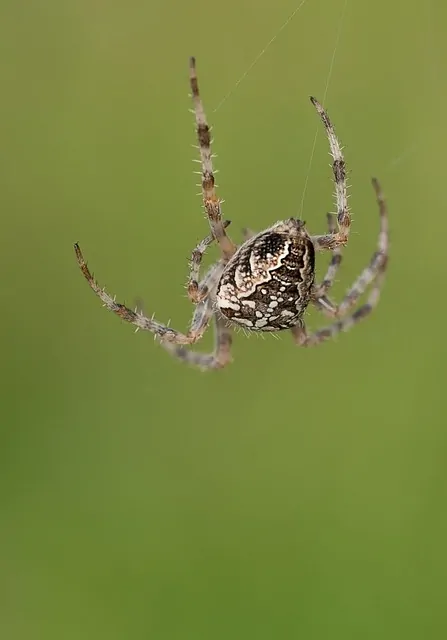 İnternetin Geleceği ve Web Tasarımının Evrimi