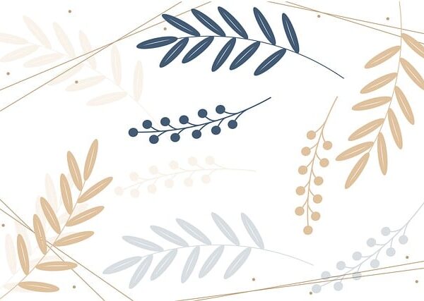 web tasariminda katilimci tasarim surecleri 1717847488992