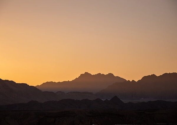 yapay zekanin web tasarimindaki rolu 1717847571570