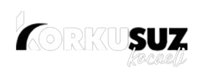 korkusuz