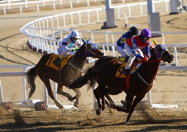 Drone Yarışları: Yeni Bir Spor Dalı mı?
