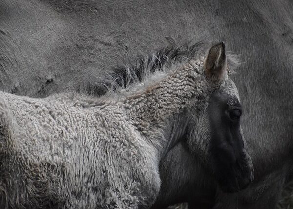 Droneların Günlük Yaşamdaki Kullanım Alanları