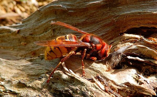 Kurumsal Kimlik Oluştururken Yapılan Hatalar