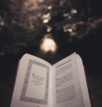 Pinterest İşletme Profili Nasıl Kullanılır?