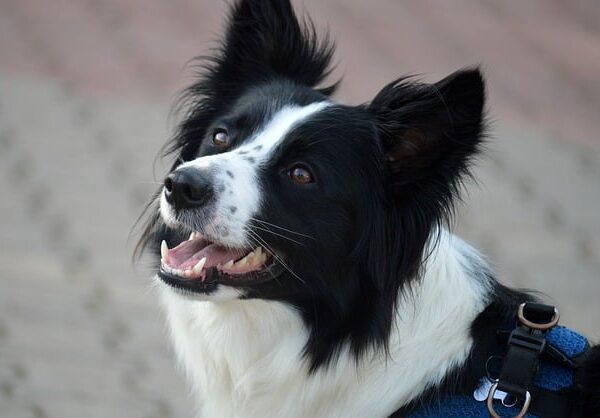 SEO Yaparken Dikkat Edilmesi Gerekenler