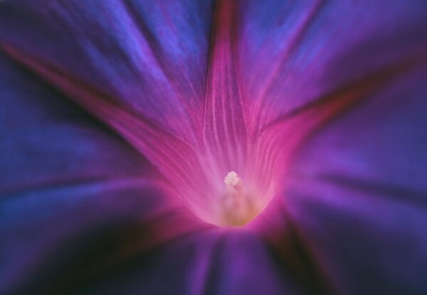 Sosyal Medyada Yaratıcı Yarışmalar Düzenleme