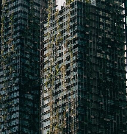 Sürdürülebilir Özel Yazılım Çözümleri