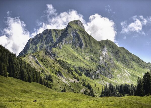 Web Sitesi İçin Ücretsiz Hosting Seçenekleri