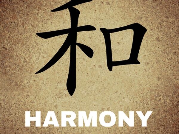 Web Sitesi Tasarımında Kurumsal Kimlik Uyumu