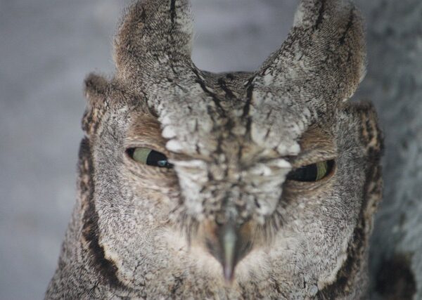 Web Sitesi Yedeklemenin Hosting İçin Önemi