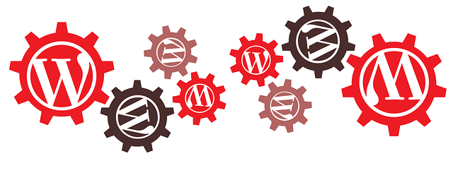 Wordpress İle Profesyonel Web Tasarım