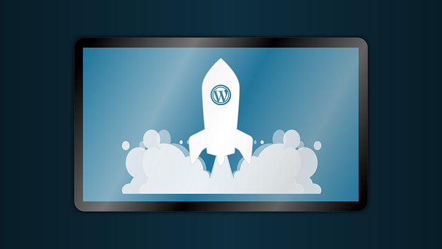 Wordpress İle Profesyonel Web Tasarım