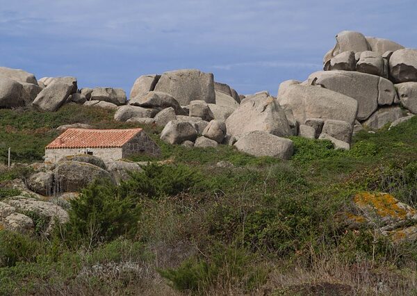 Yazılım Geliştirme Sürecinde Agile Metodolojisi
